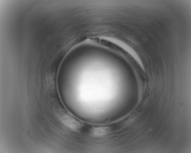 X0000082200461200701270122