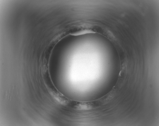 X0000082200464200701270123