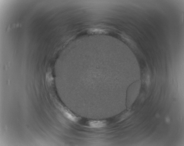 X0000082200465200701270123