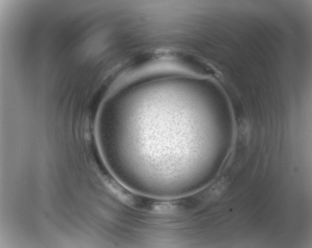 X0000082200470200701270123