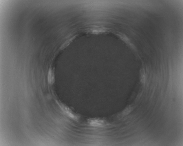 X0000082200471200701270123