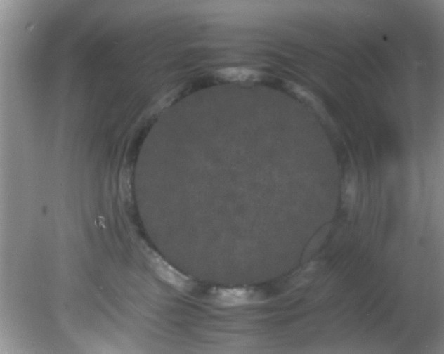 X0000082200473200701270123