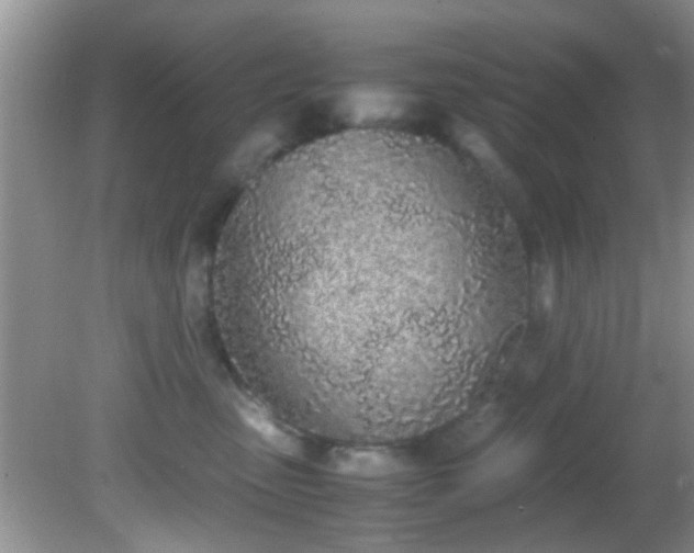 X0000082200475200701270123