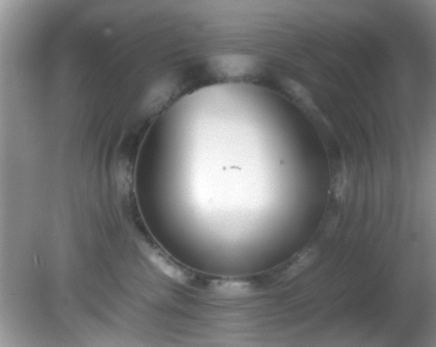 X0000082200476200701270123