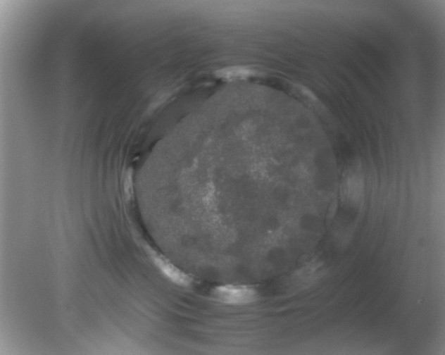 X0000082200477200701270123