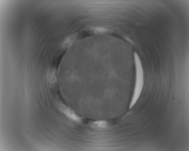 X0000082200478200701270123