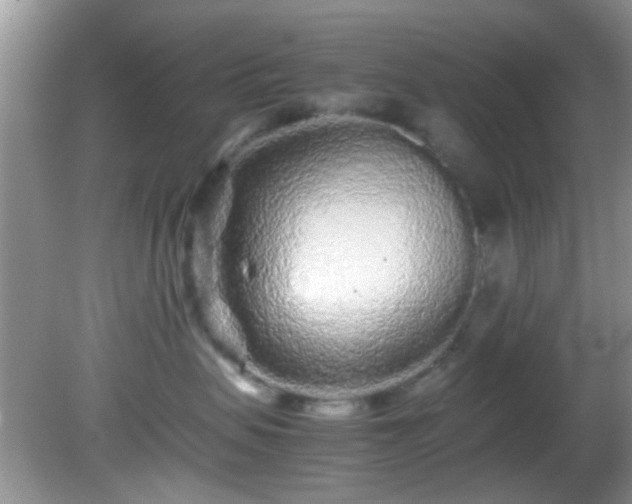 X0000082200479200701270123