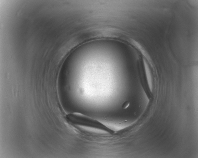 X0000082200481200701270122