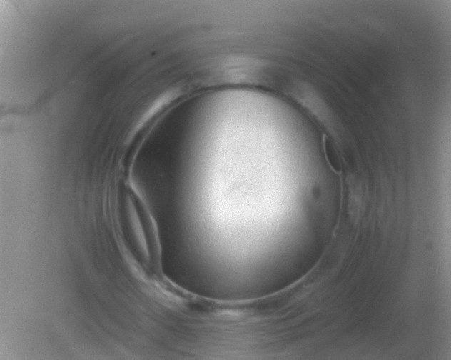 X0000082200482200701270122