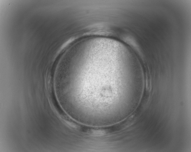 X0000082200483200701270122