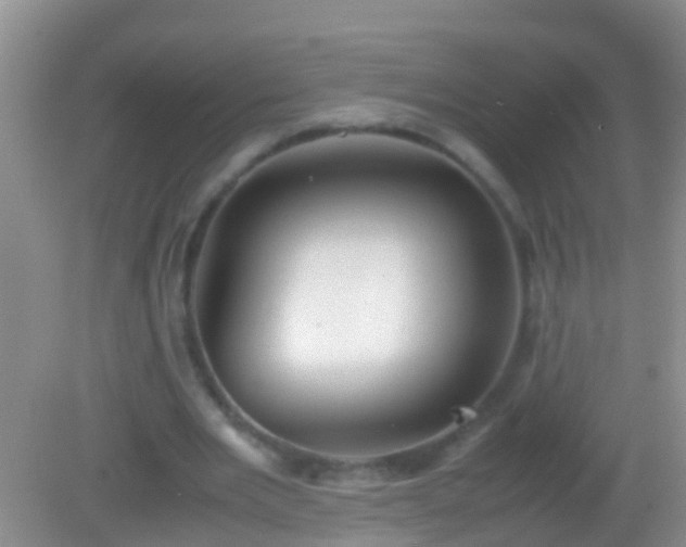 X0000082200485200701270122