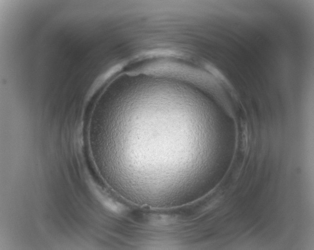 X0000082200486200701270122