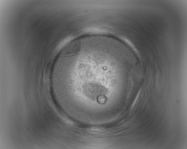 X0000082200487200701270122