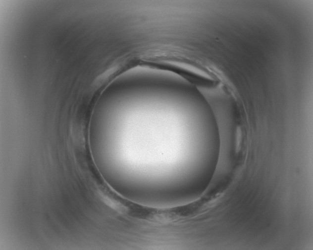 X0000082200489200701270122