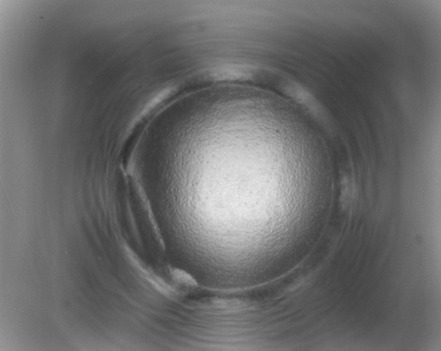 X0000082200490200701270122