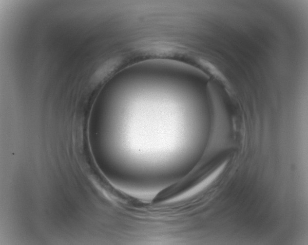 X0000082200493200701270122