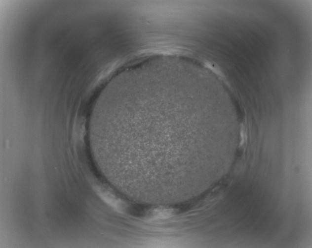 X0000082200495200701270122