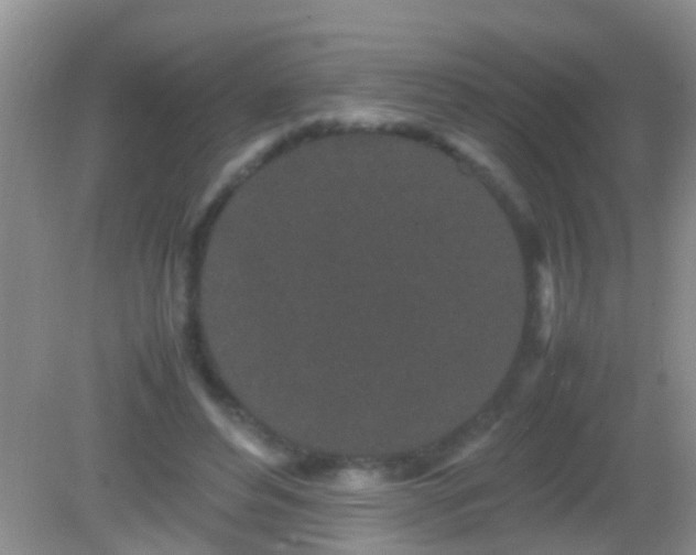 X0000082200496200701270122