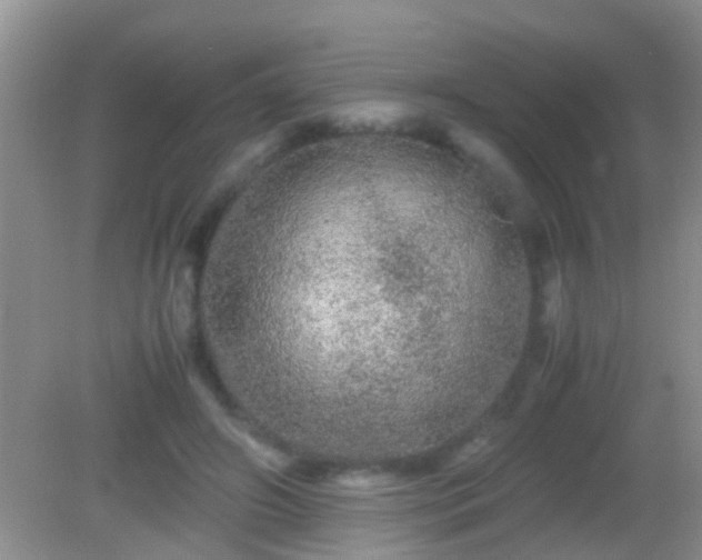 X0000082200498200701270122