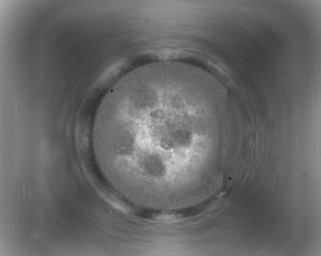 X0000082200499200701270122