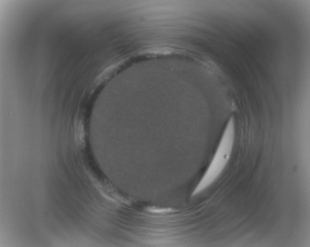 X0000082200500200701270122