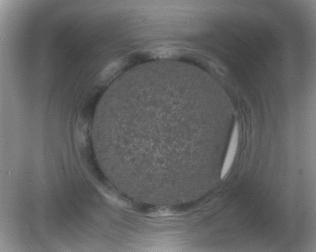 X0000082200503200701270122