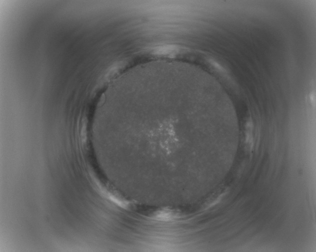 X0000082200504200701270122