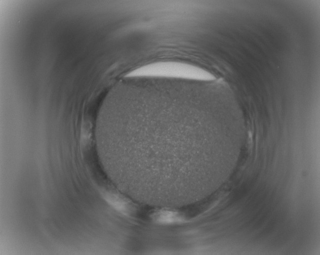 X0000082200507200701270122