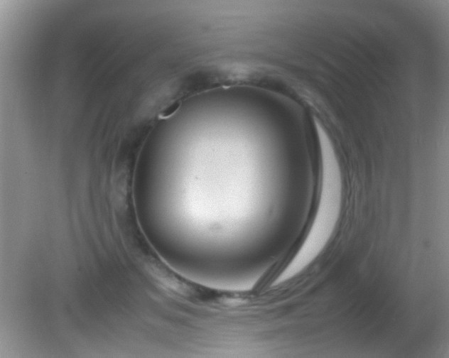 X0000082200509200701270122