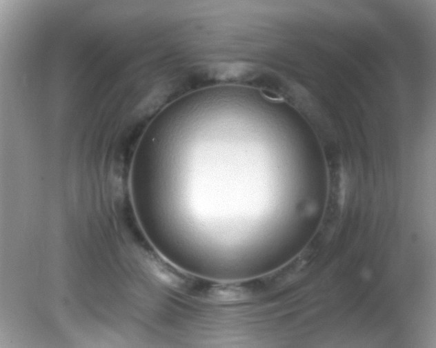 X0000082200510200701270121