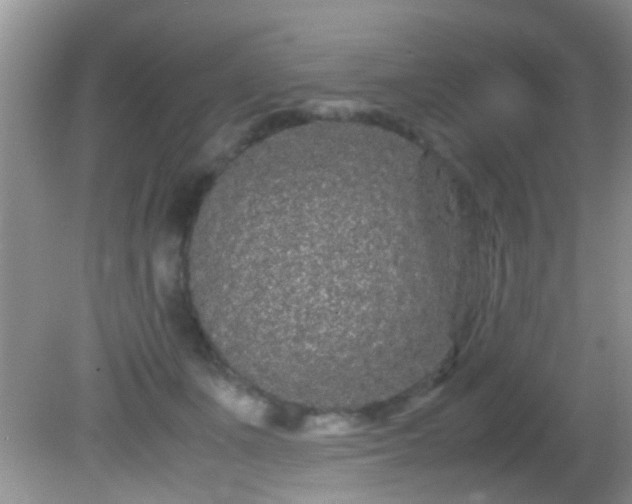 X0000082200511200701270121