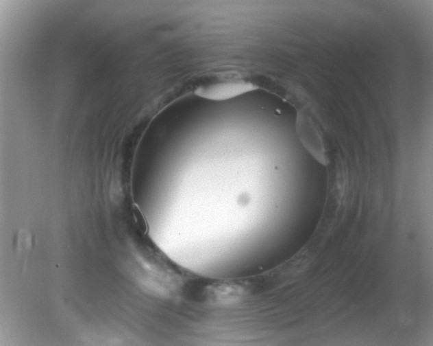 X0000082200512200701270121