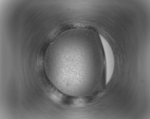 X0000082200513200701270121