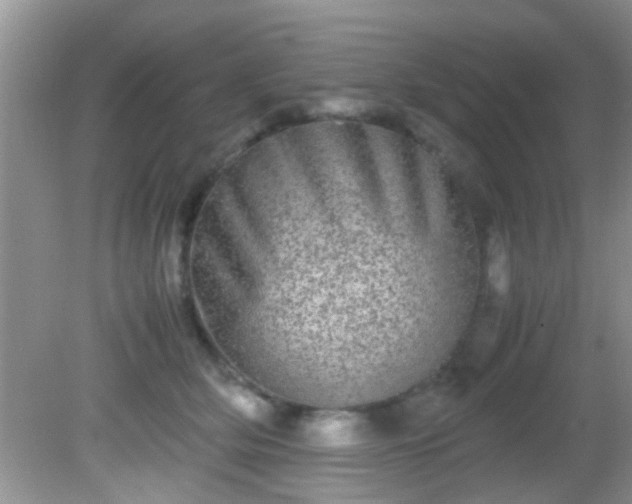 X0000082200514200701270121