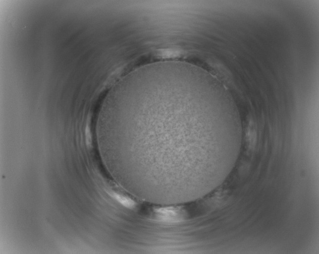 X0000082200516200701270121