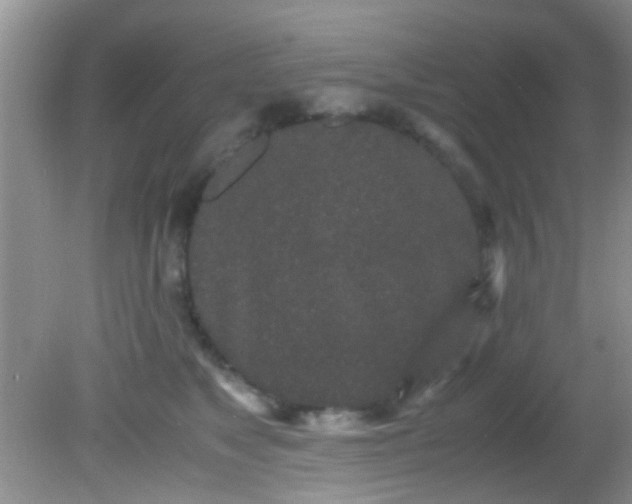 X0000082200517200701270121