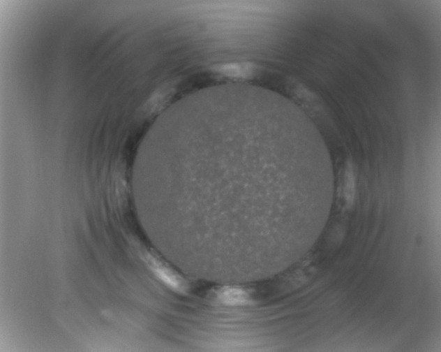 X0000082200518200701270121