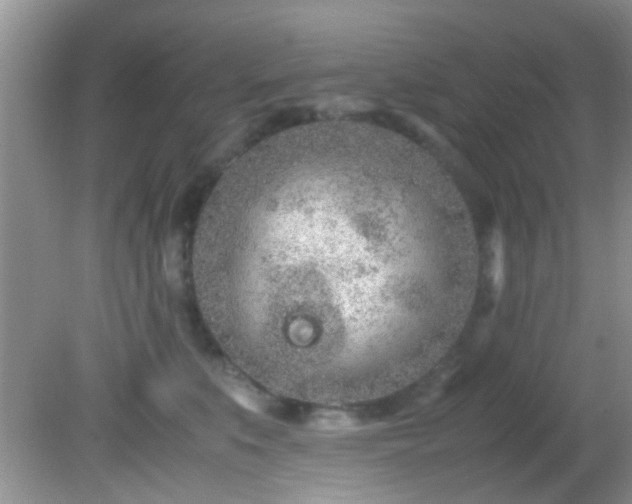 X0000082200519200701270121