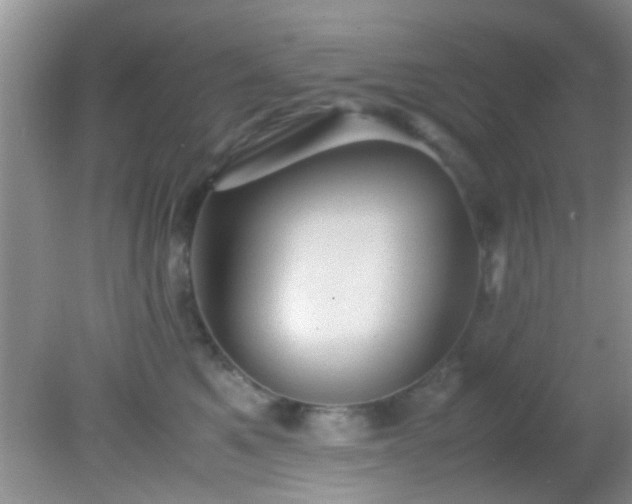 X0000082200521200701270121