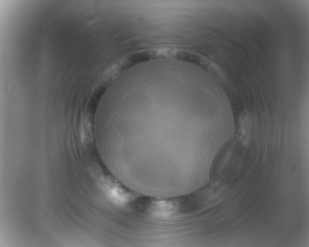 X0000082200522200701270121