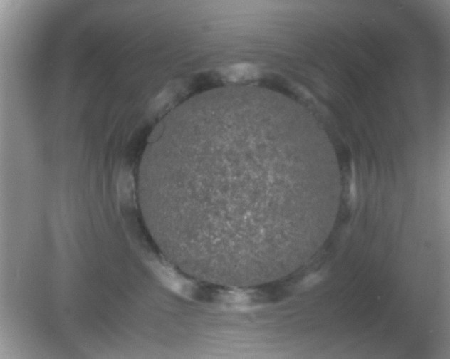 X0000082200523200701270121