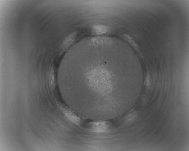 X0000082200524200701270121