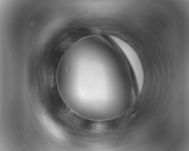 X0000082200525200701270121