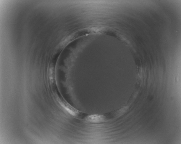 X0000082200526200701270121