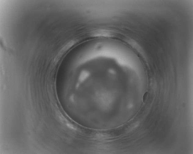 X0000082200529200701270120