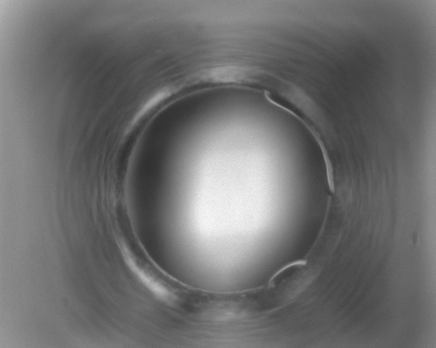 X0000082200530200701270120