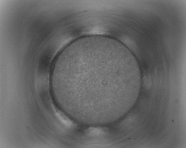 X0000082200534200701270120