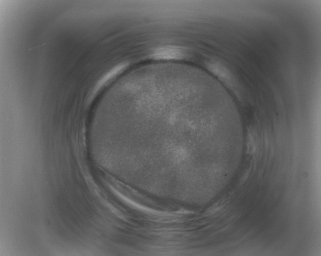 X0000082200535200701270120