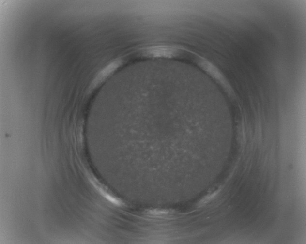 X0000082200537200701270121