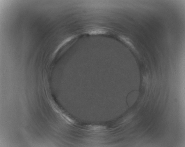 X0000082200539200701270121